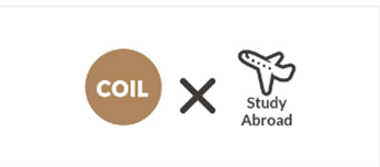 COIL Plusの例（COIL＋Study Abroad）