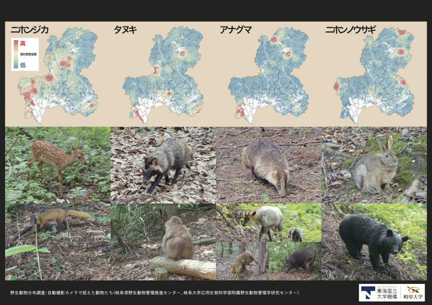 岐阜大学 応用生物科学部共同獣医学科