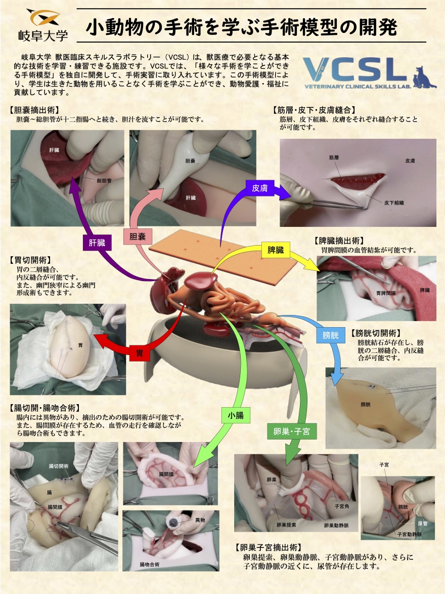 定価48000円!! 小動物最新外科学大系 泌尿生殖器系 1 2 待望